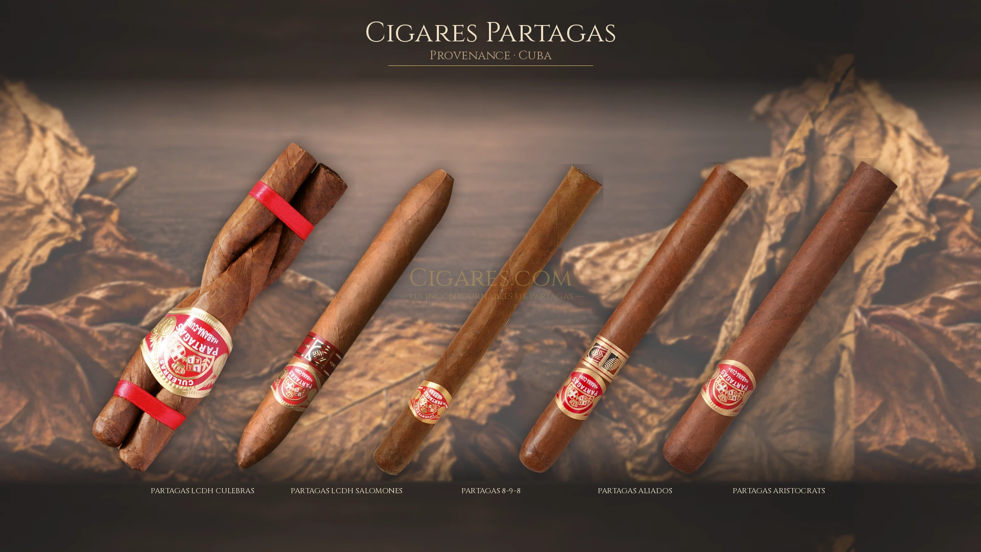 Top cigares Partagas Cuba — les plus populaires
