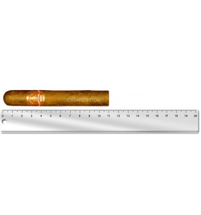 Partagas Shorts