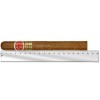 Romeo Y Julieta Churchills