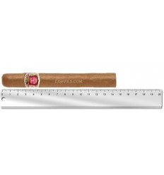 Hoyo de Monterrey Epicure No 1