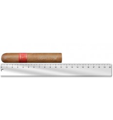 Partagas Serie D No 5