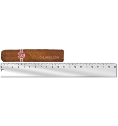 Montecristo Petit Edmundo