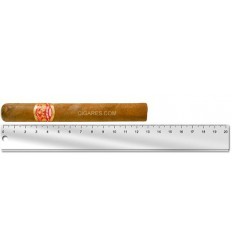 Partagas Mille Fleurs