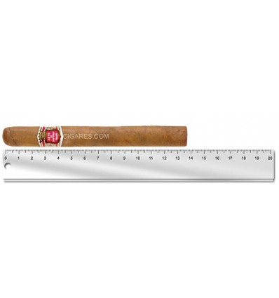 Hoyo de Monterrey Palmas Extra