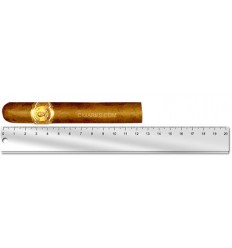 Bolivar Royal Coronas