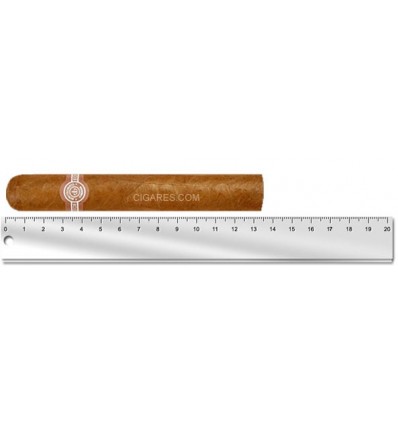 Montecristo Edmundo