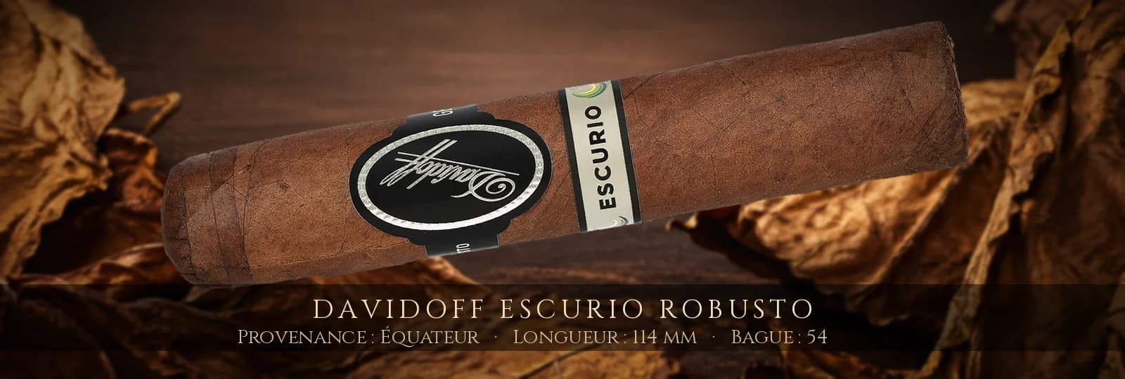 Davidoff Escurio Robusto — Davidoff — République Dominicaine