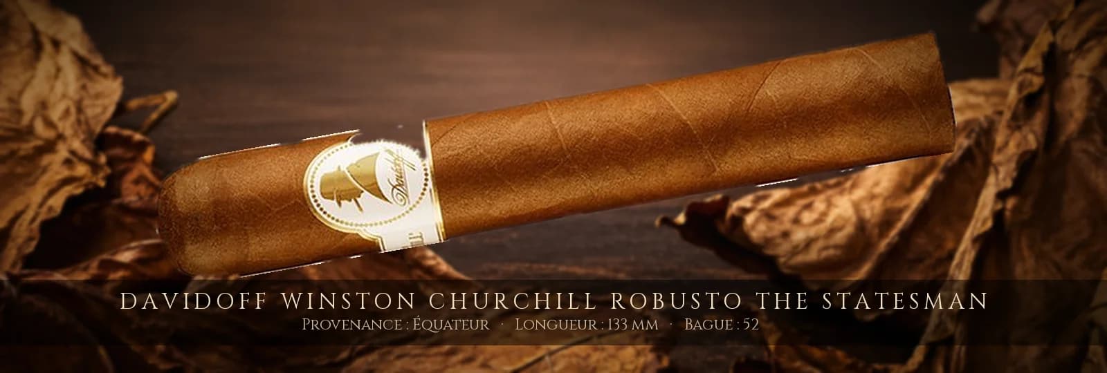 Davidoff Winston Churchill Robusto The Statesman — Davidoff — République Dominicaine