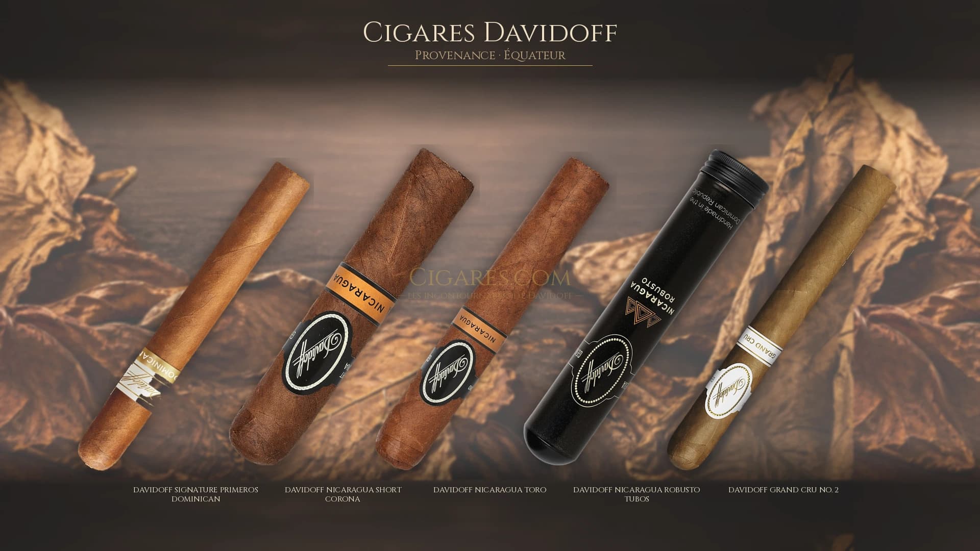 Top 5 cigares Davidoff — les plus populaires