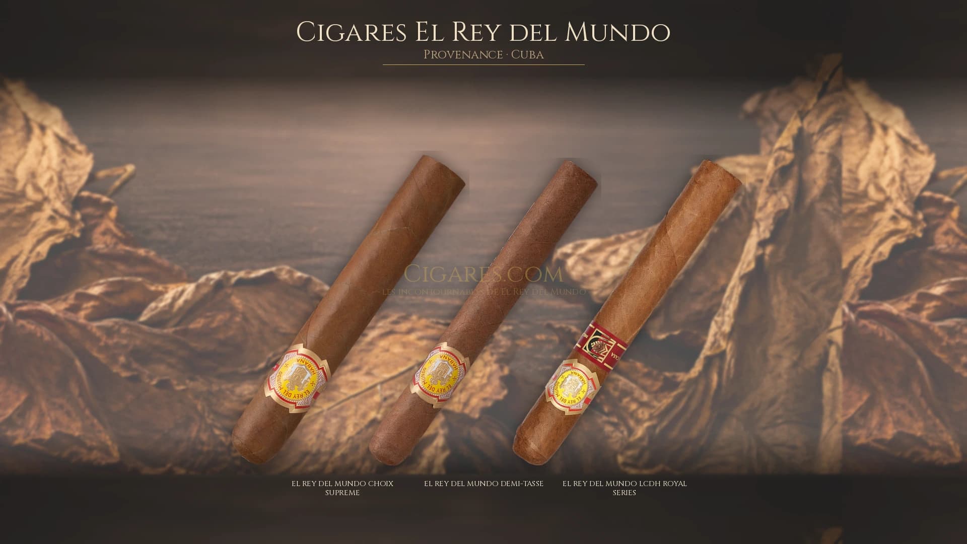 Top cigares El Rey del Mundo Cuba — les plus populaires