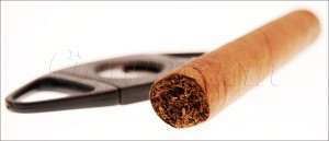 connaissances sur le cigare