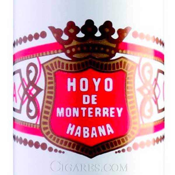 logo hoyo de monterrey