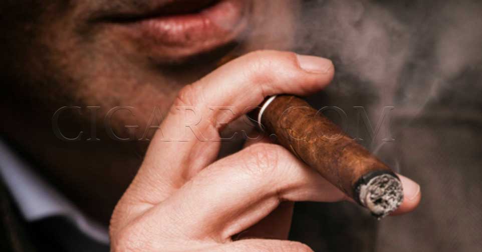 Le Vieil Homme Fume Un Cigare Cubain Gros Plan De Cigares Cubains