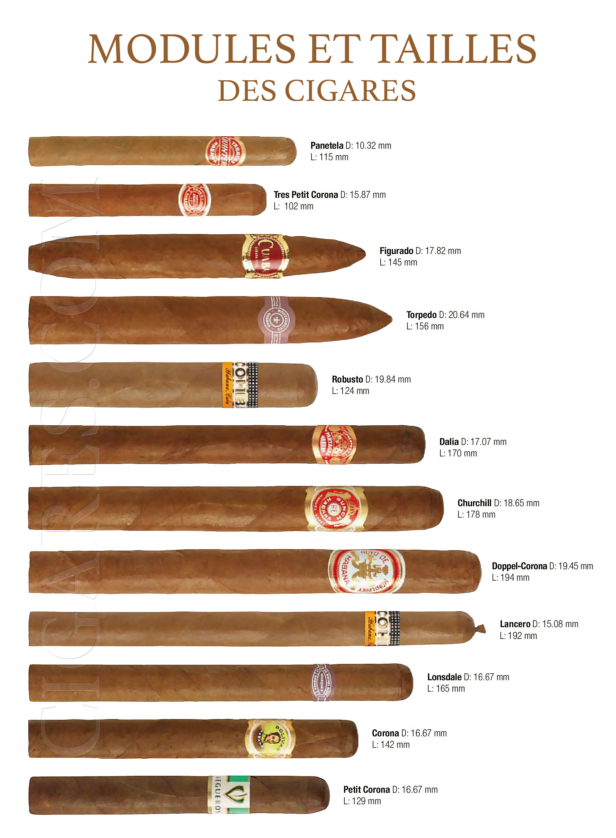 Les principaux cigares cubains
