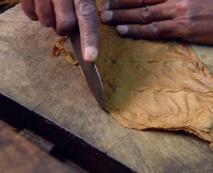 fabrication d'un cigare