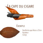 cape du cigare