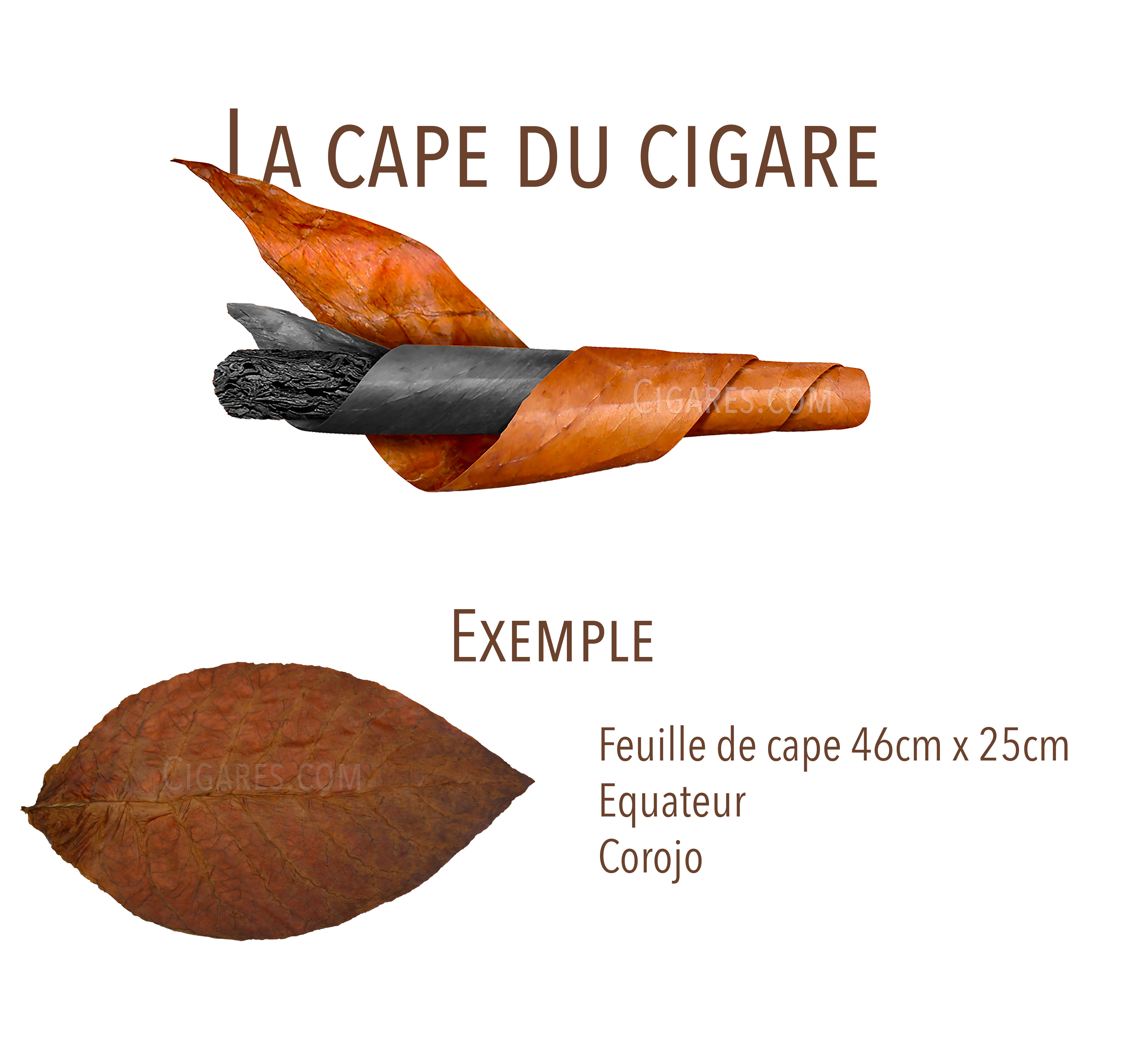 Les accessoires autour du cigare - El Torcedor