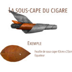 sous-cape cigare