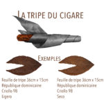 tripe du cigare