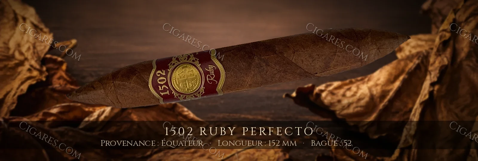 1502 Ruby Perfecto — 1502 — Nicaragua