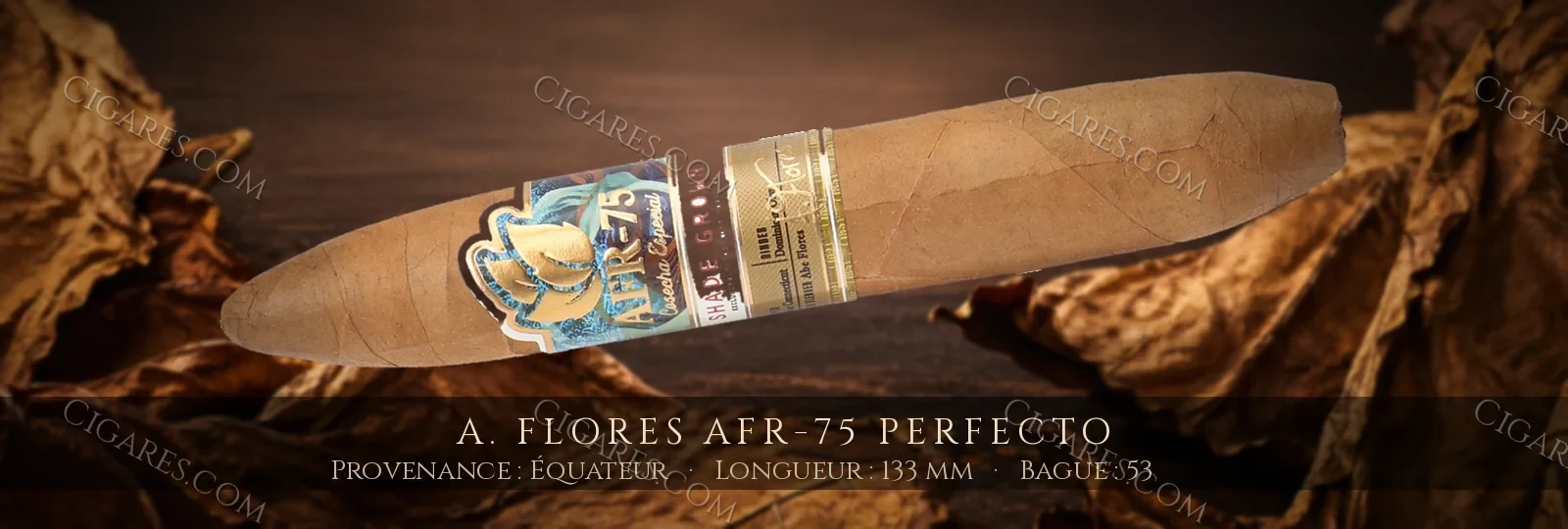 A. Flores AFR-75 Perfecto — A. Flores — République Dominicaine