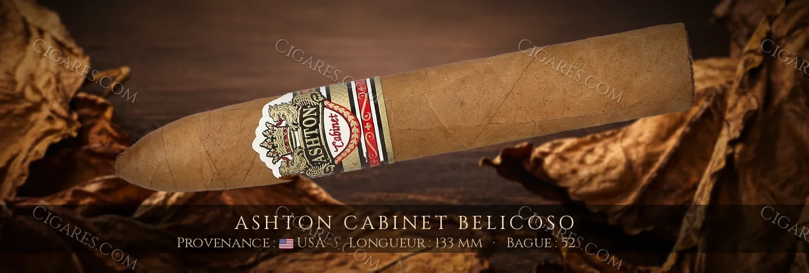 Ashton Cabinet Belicoso — Ashton — République Dominicaine