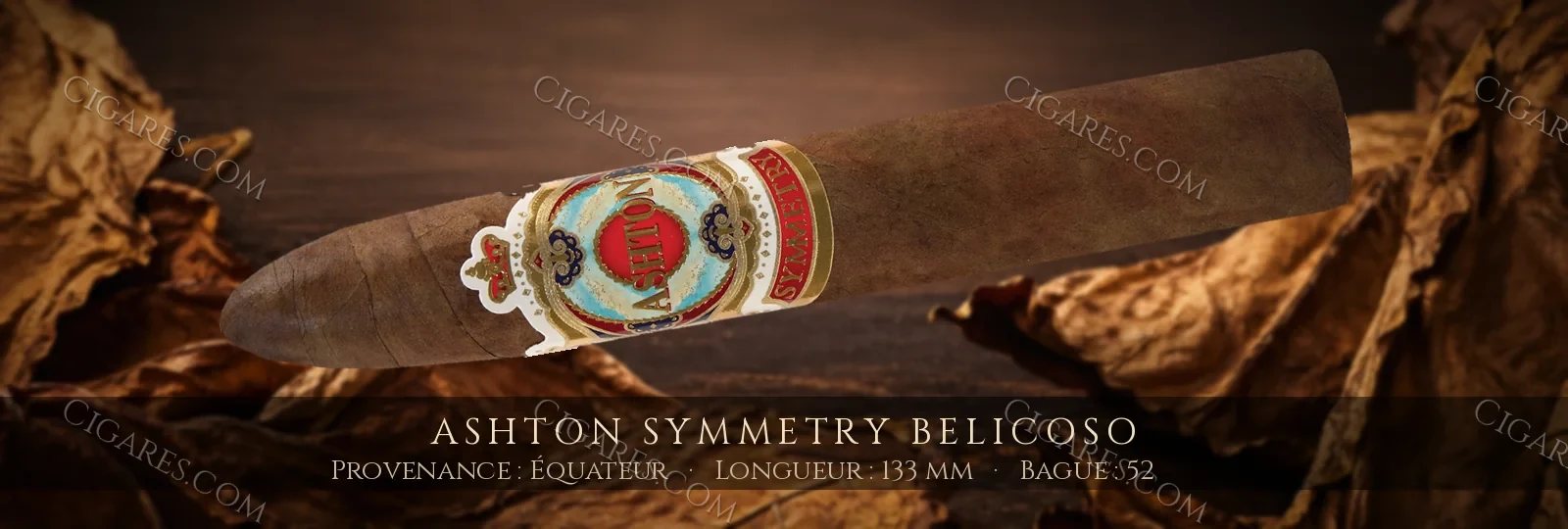 Ashton Symmetry Belicoso — Ashton — République Dominicaine