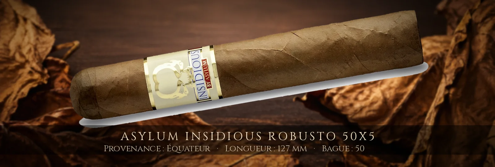Asylum Insidious Robusto 50x5