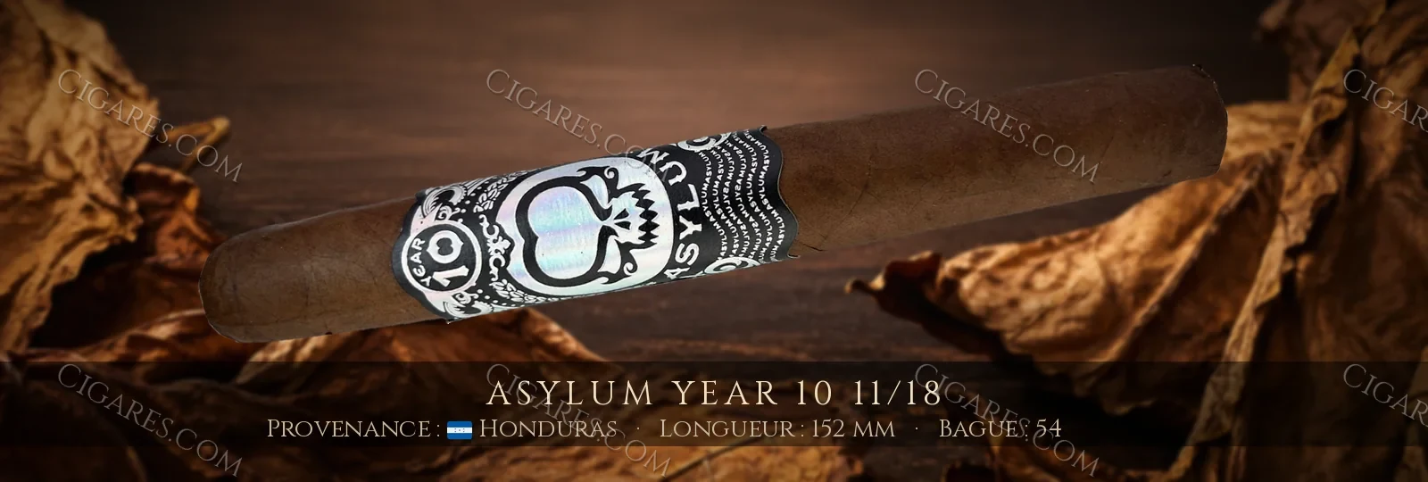Asylum Year 10 11/18 — Asylum — Honduras