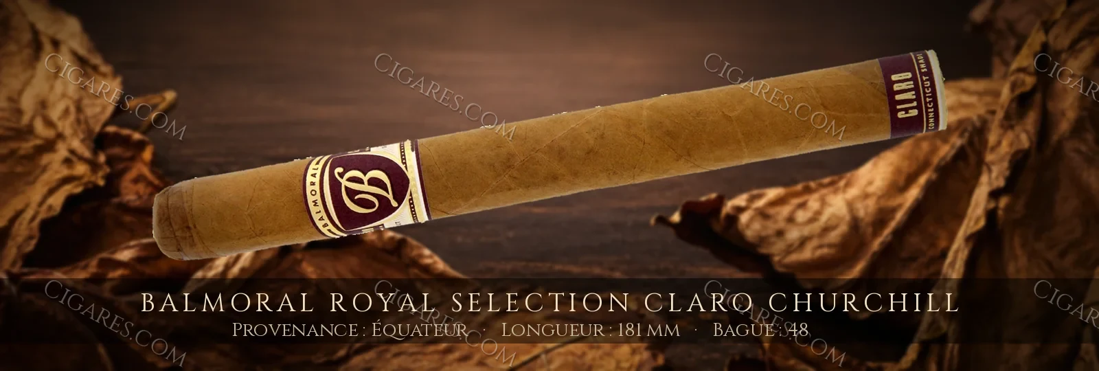Balmoral Royal Selection Claro Churchill — Balmoral — République Dominicaine