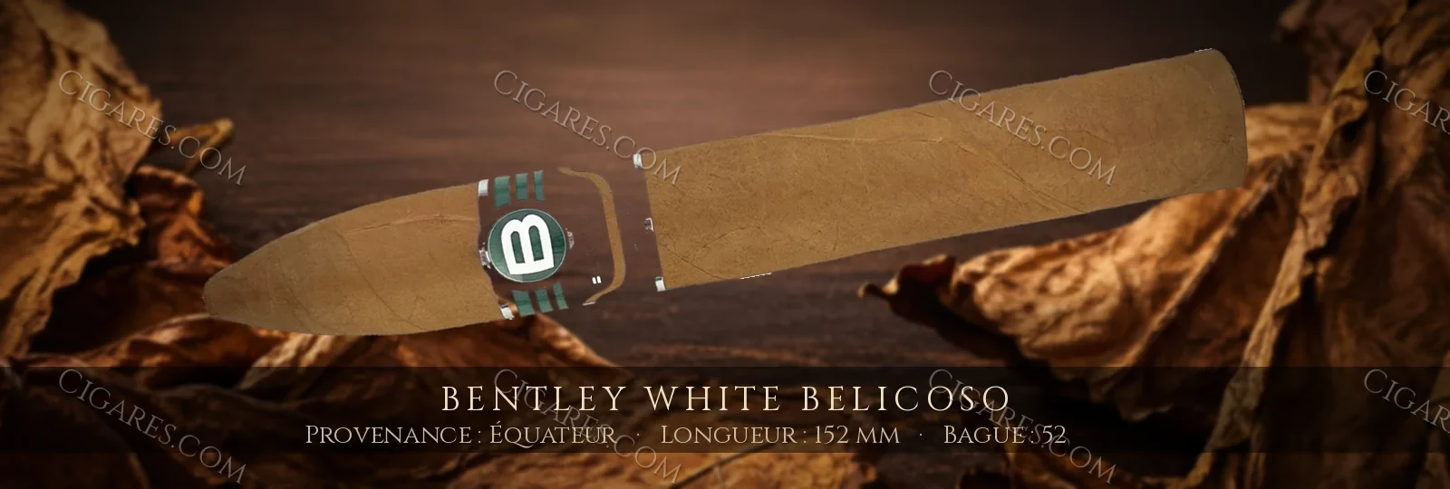 Bentley White Belicoso — Bentley — Équateur
