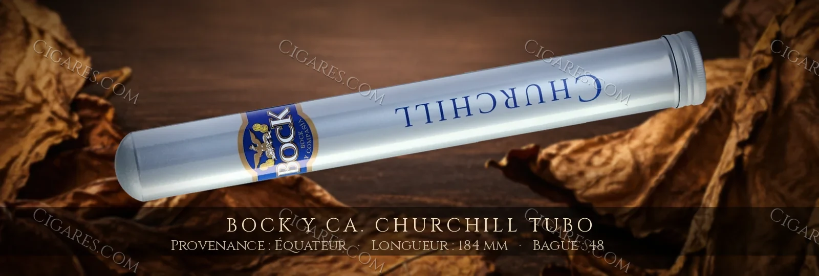 Bock y Ca. Churchill Tubo — Bock y Ca. — Équateur
