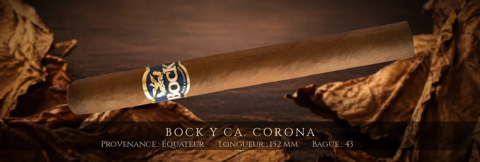 Bock y Ca. Corona — Bock y Ca. — Équateur