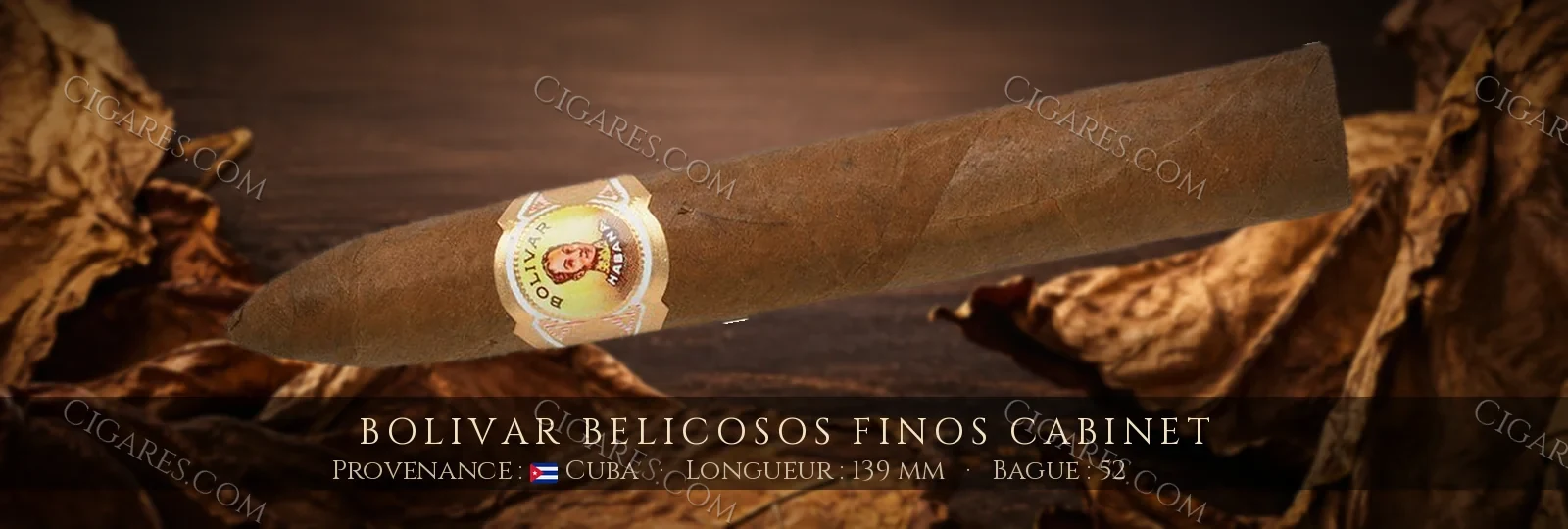Bolivar Belicosos Finos Cabinet — Bolivar — Cuba