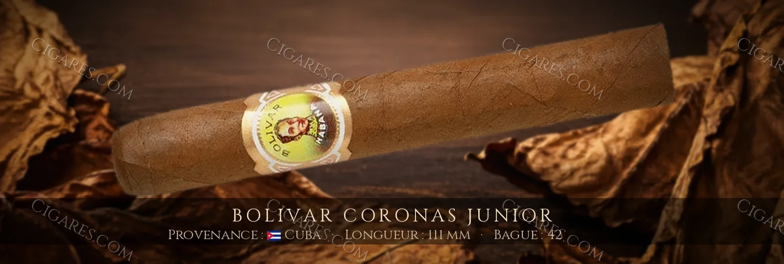 Bolivar Coronas Junior — Bolivar — Cuba