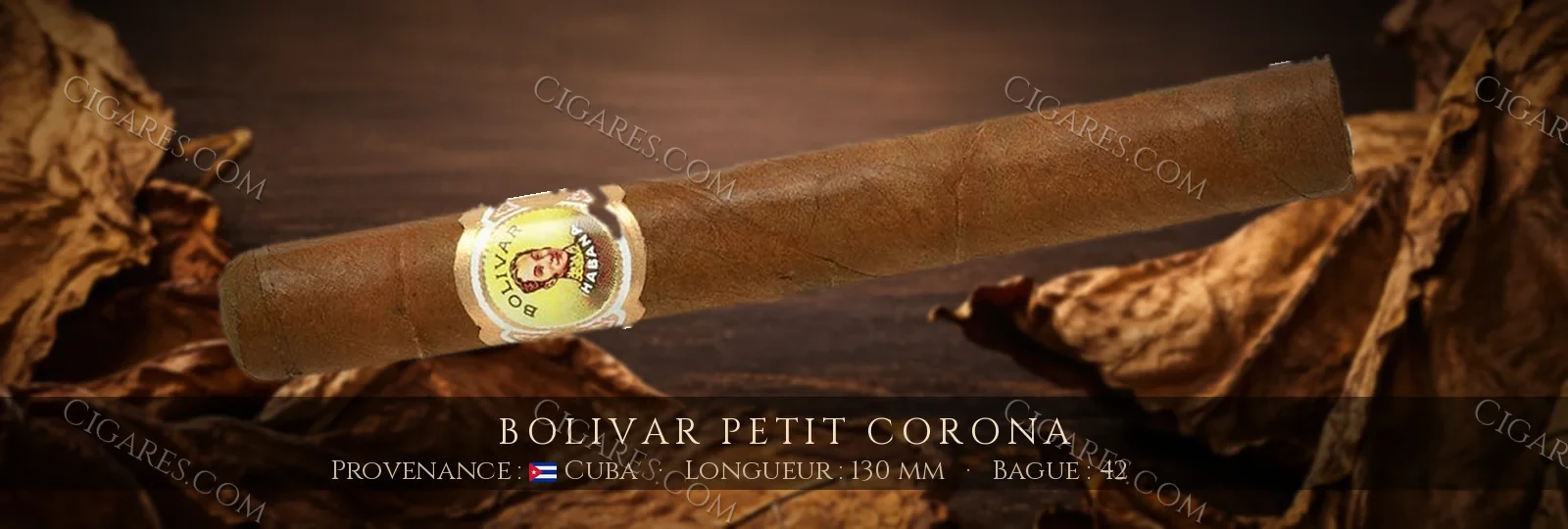 Bolivar Petit Corona — Bolivar — Cuba