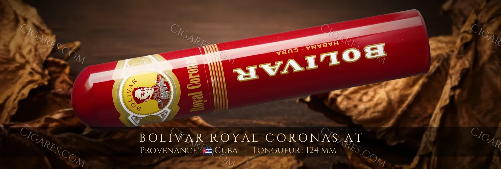 Bolivar Royal Coronas AT — Bolivar — Cuba