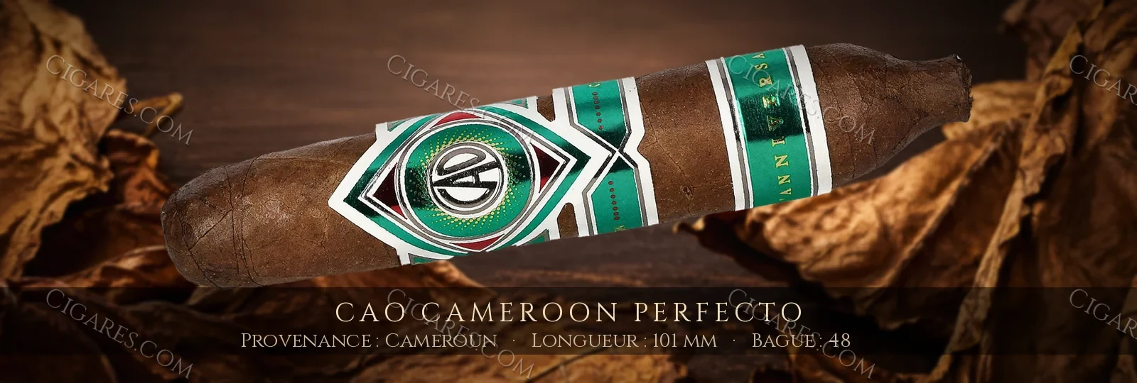 CAO Cameroon Perfecto — CAO — Honduras