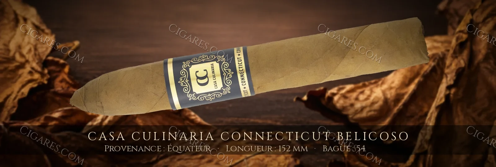 Casa Culinaria Connecticut Belicoso — Casa Culinaria — Nicaragua