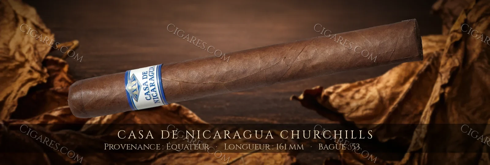 Casa de Nicaragua Churchills — Casa de Nicaragua — Nicaragua