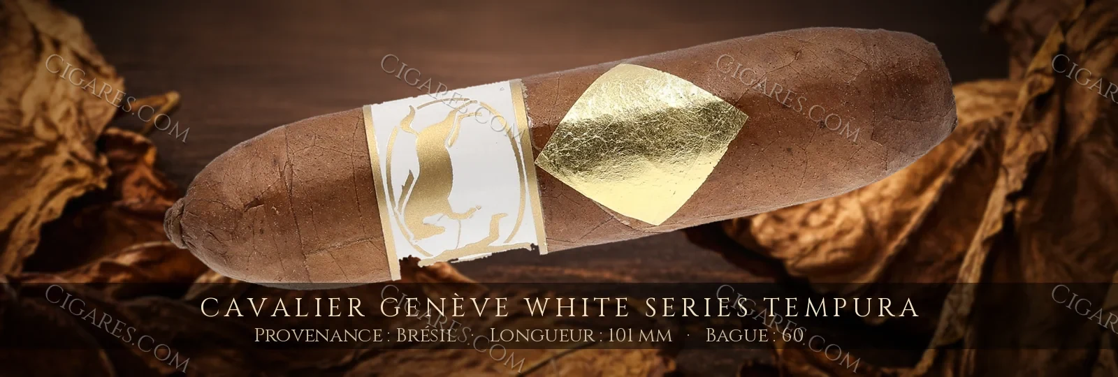 Cavalier Genève White Series Tempura — Cavalier Genève — Brésil