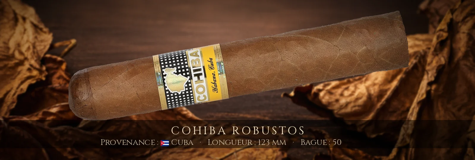 Cohiba Robustos — Cohiba — Cuba