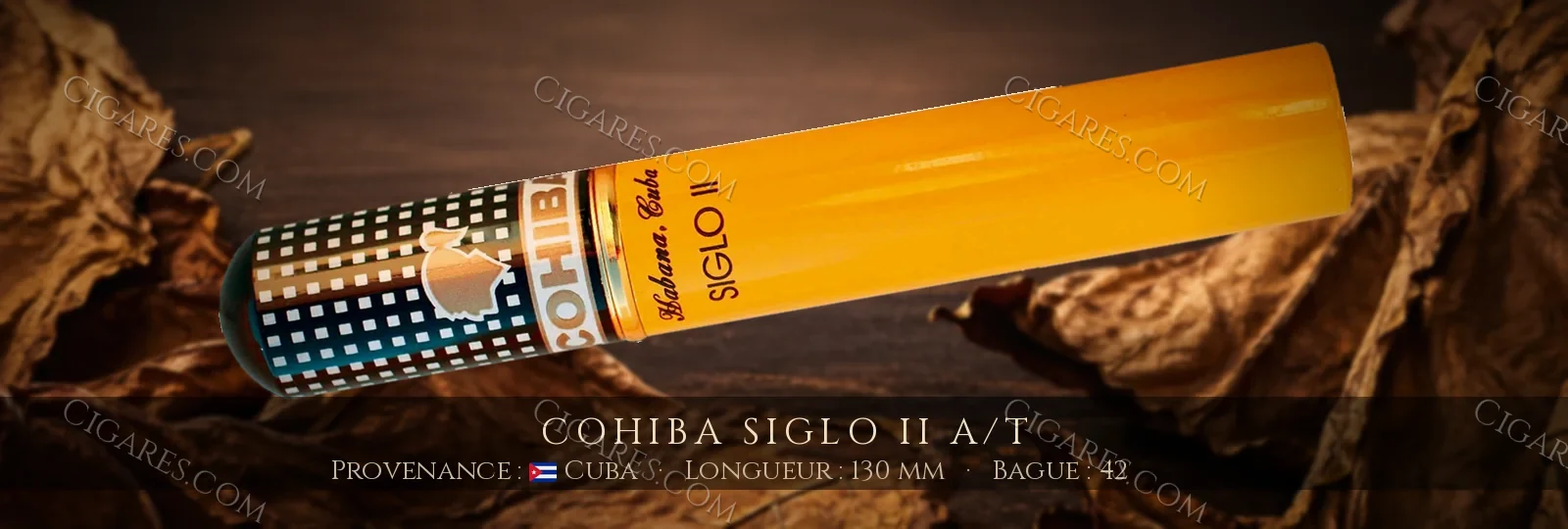 Cohiba Siglo II A/T