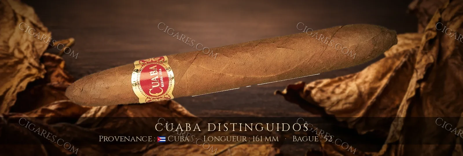 Cuaba Distinguidos — Cuaba — Cuba