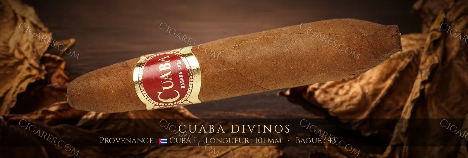 Cuaba Divinos — Cuaba — Cuba