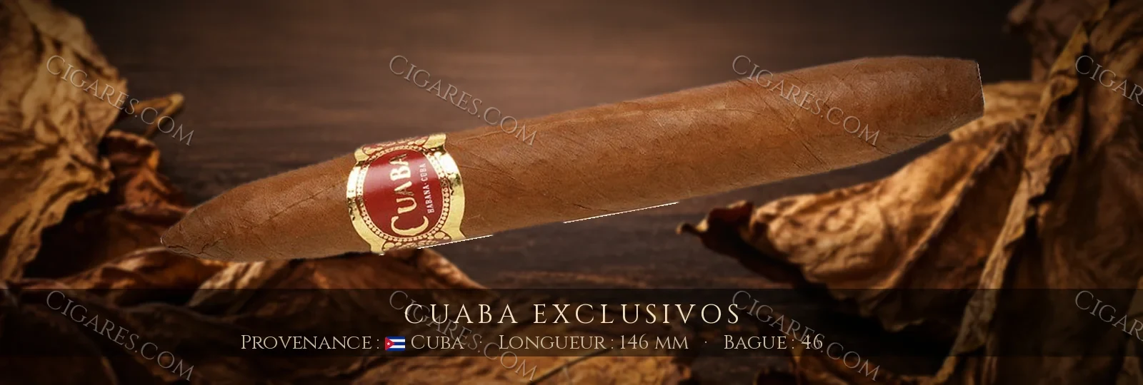 Cuaba Exclusivos — Cuaba — Cuba