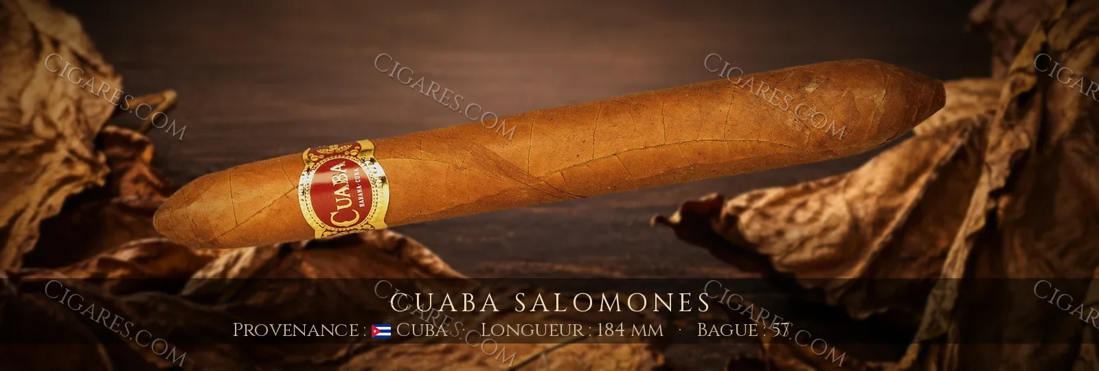 Cuaba Salomones — Cuaba — Cuba