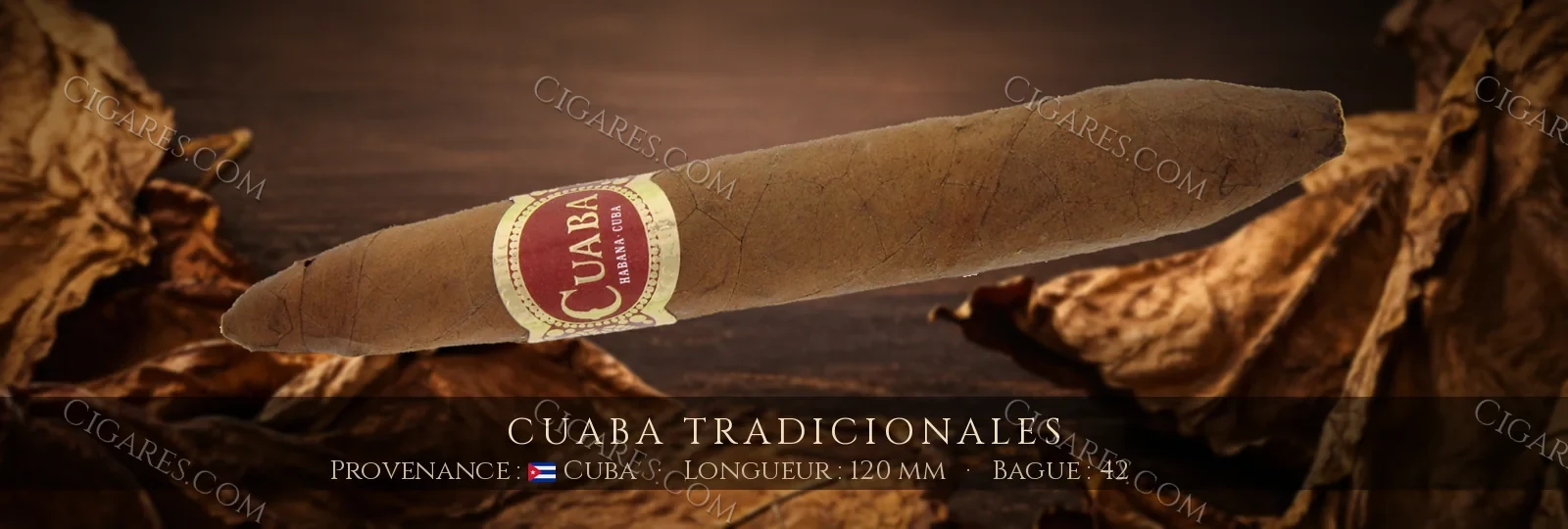Cuaba Tradicionales