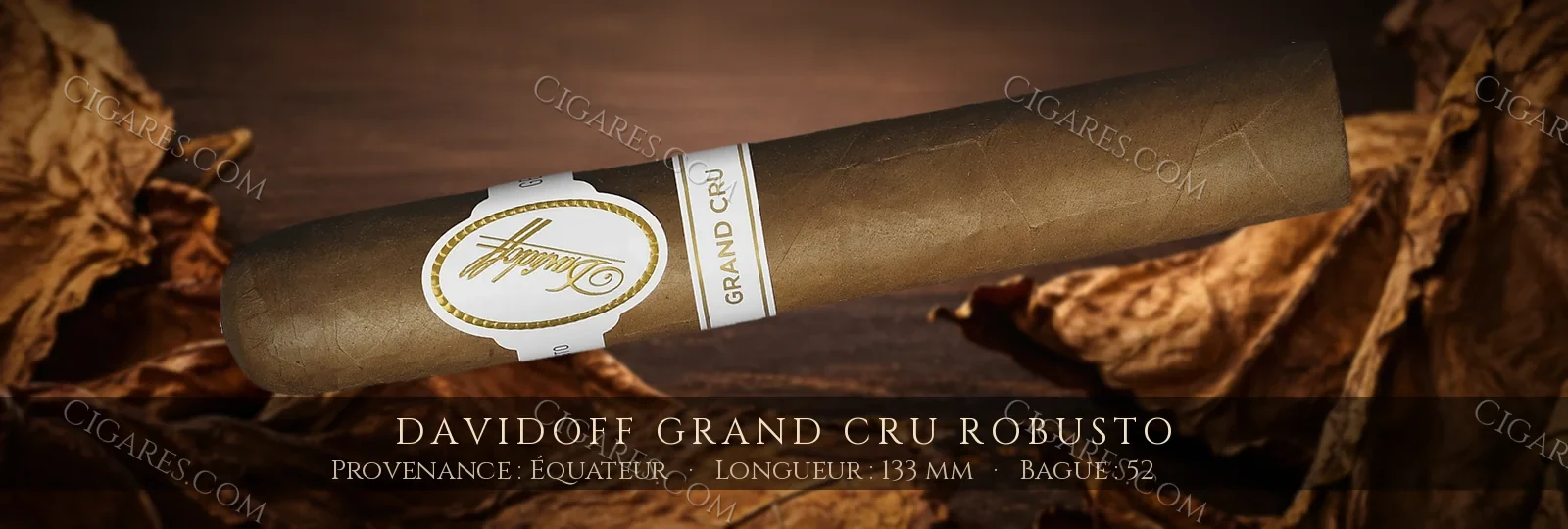 Davidoff Grand Cru Robusto — Davidoff — République Dominicaine