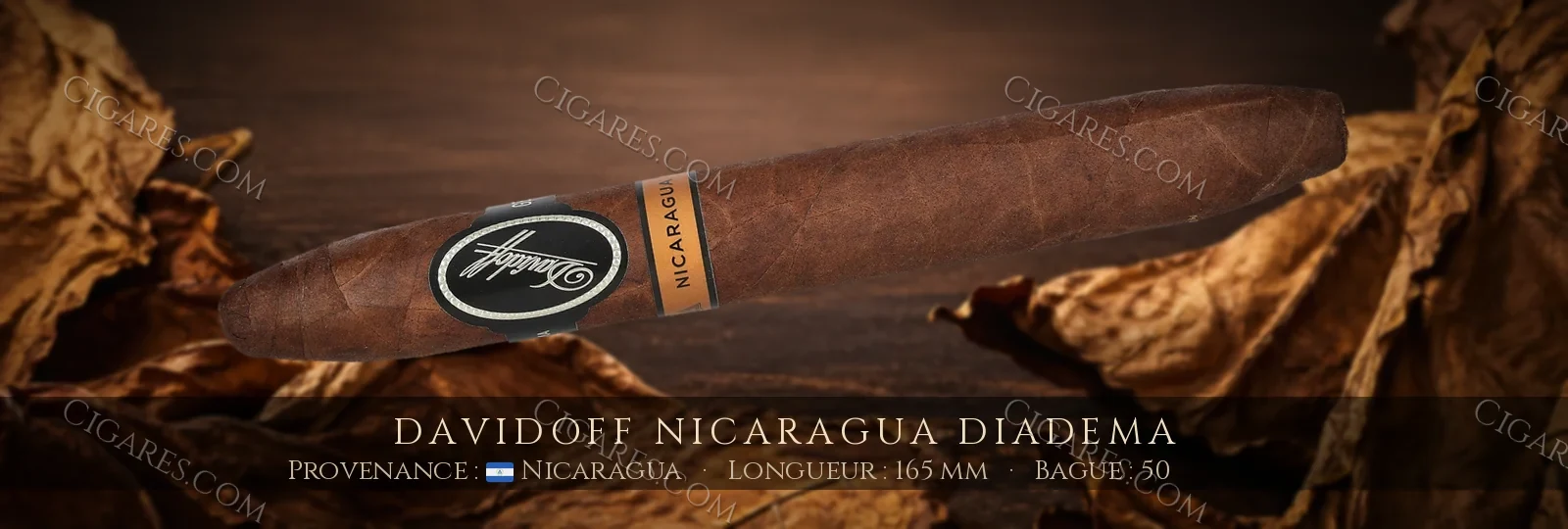 Davidoff Nicaragua Diadema — Davidoff — Nicaragua